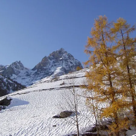 Anemone Tano Di Grich