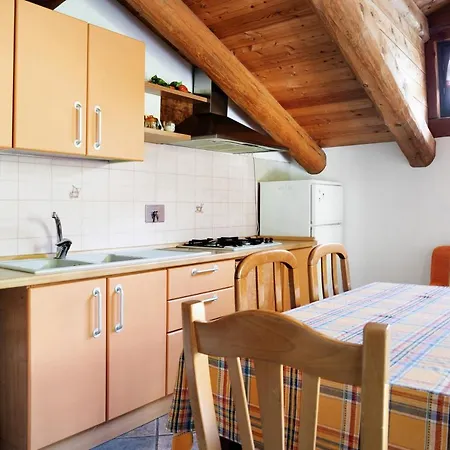 Anemone Tano Di Grich Cesani