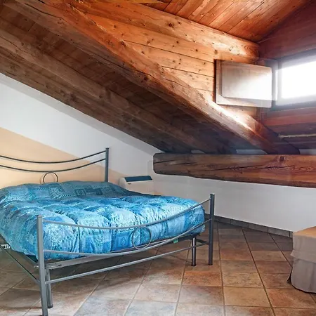 Anemone Tano Di Grich Daire *