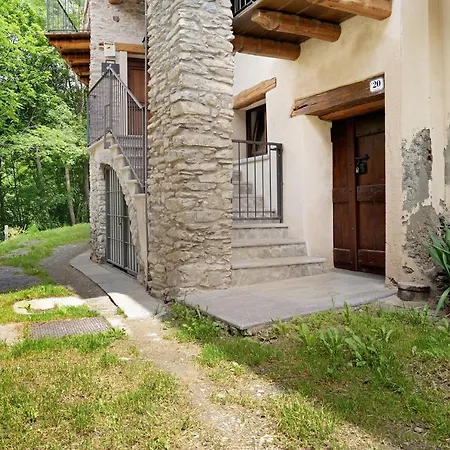 Anemone Tano Di Grich * Cesani