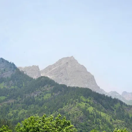 Anemone Tano Di Grich *