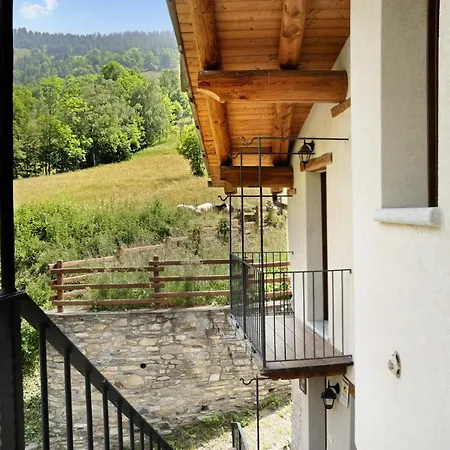 Anemone Tano Di Grich