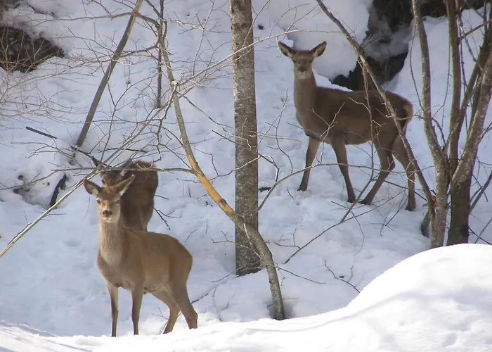 Apartamento Anemone Tano Di Grich