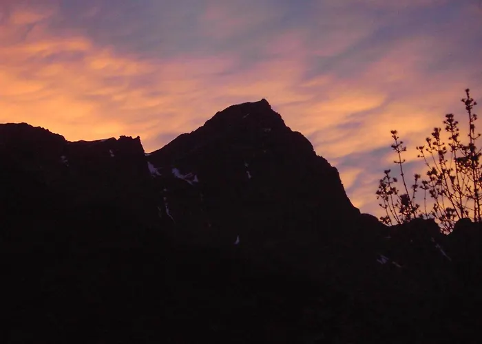 Anemone Tano Di Grich