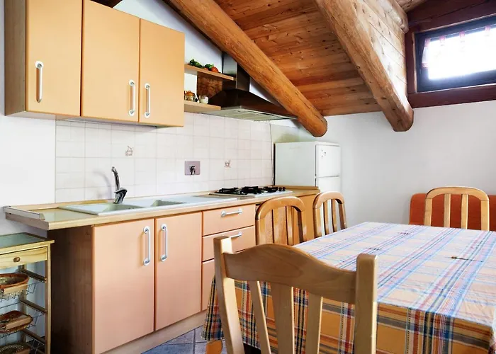 Anemone Tano Di Grich Cesani