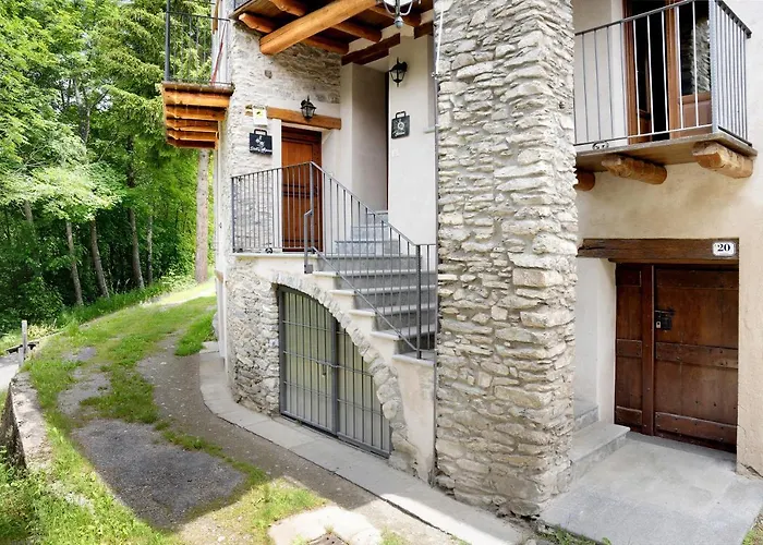 Anemone Tano Di Grich Cesani