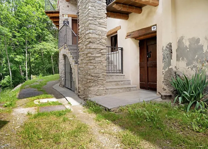 Anemone Tano Di Grich * Cesani