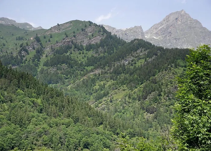 Anemone Tano Di Grich Apartamento Cesani