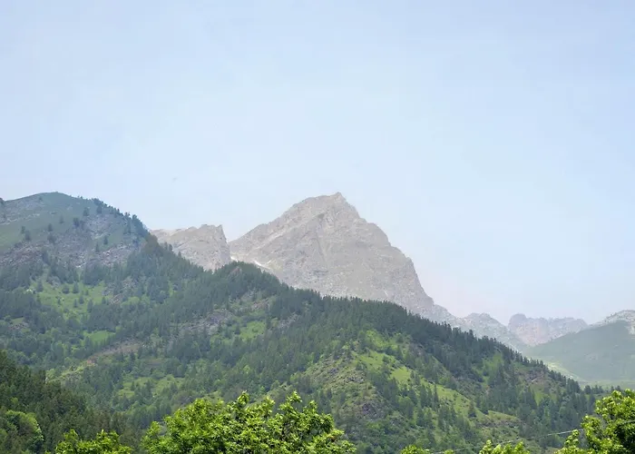 Anemone Tano Di Grich *