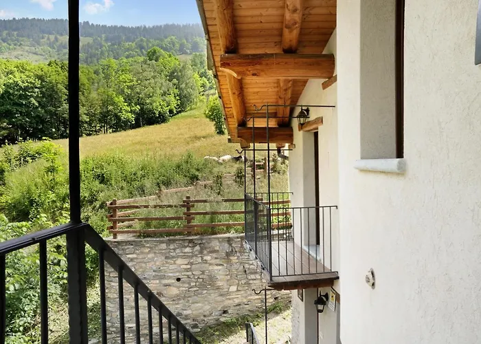 Anemone Tano Di Grich