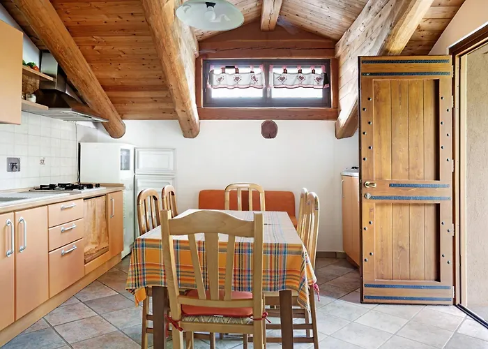 Anemone Tano Di Grich Cesani