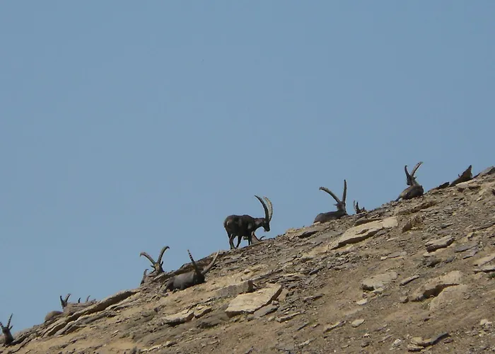 Anemone Tano Di Grich Apartamento